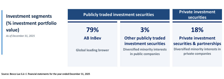 Overview of Company's Investment