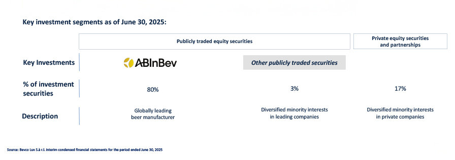 Overview of Company's Investment